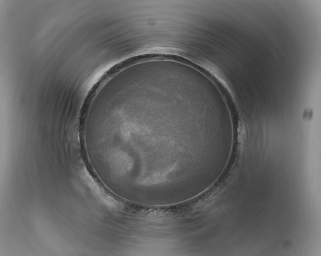 X0000112100972200908111414