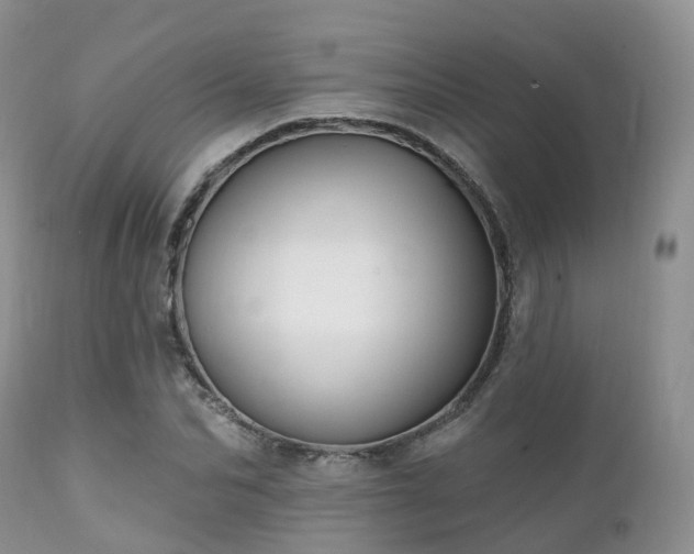 X0000112100974200908111414