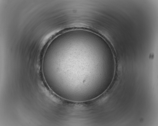 X0000112100979200908111413