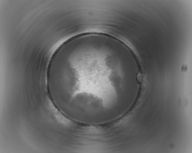 X0000112100980200908111413