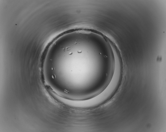 X0000112100981200908111413