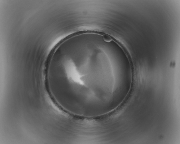 X0000112100983200908111413