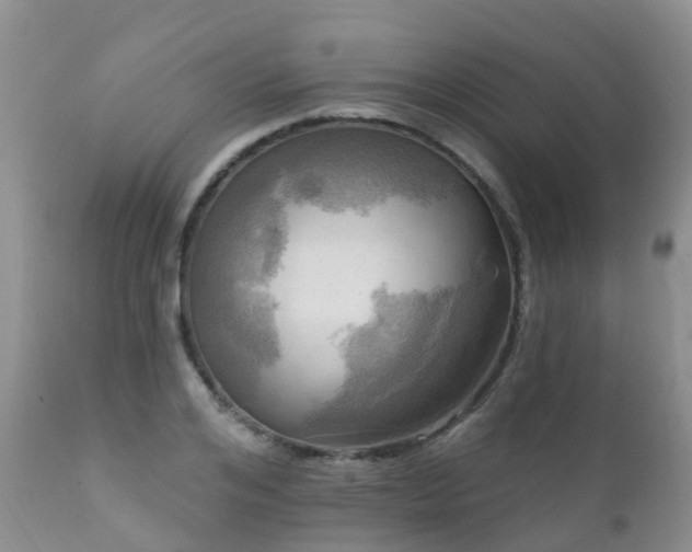 X0000112100984200908111413