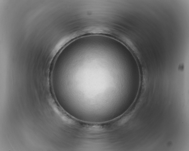 X0000112100986200908111413