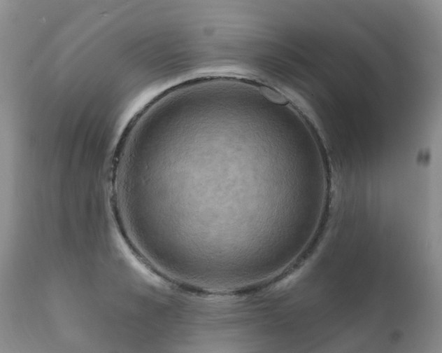 X0000112100989200908111413