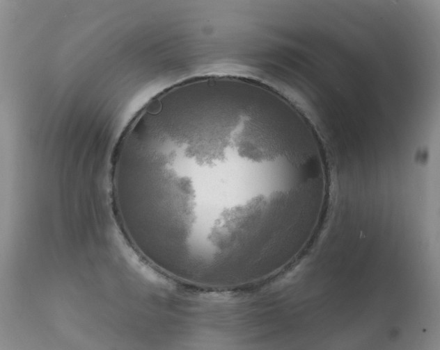 X0000112100990200908111413