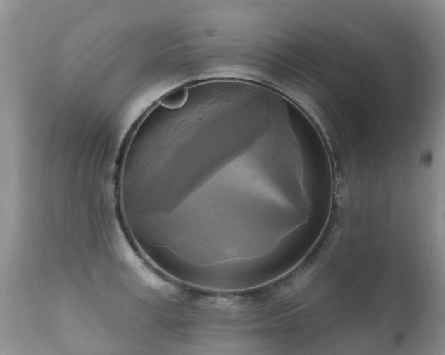 X0000112100995200908111413