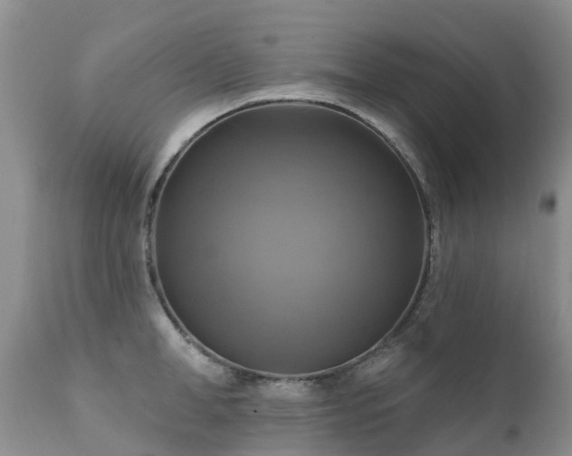 X0000112100998200908111413