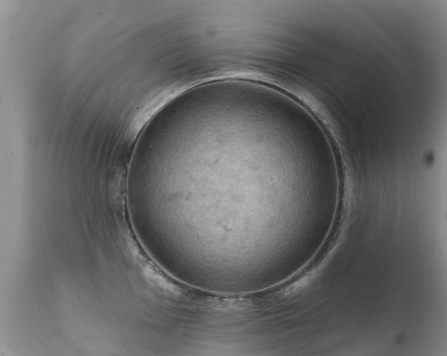 X0000112101001200908111413