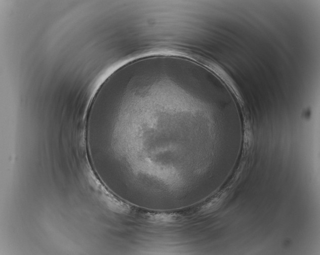X0000112101004200908111413