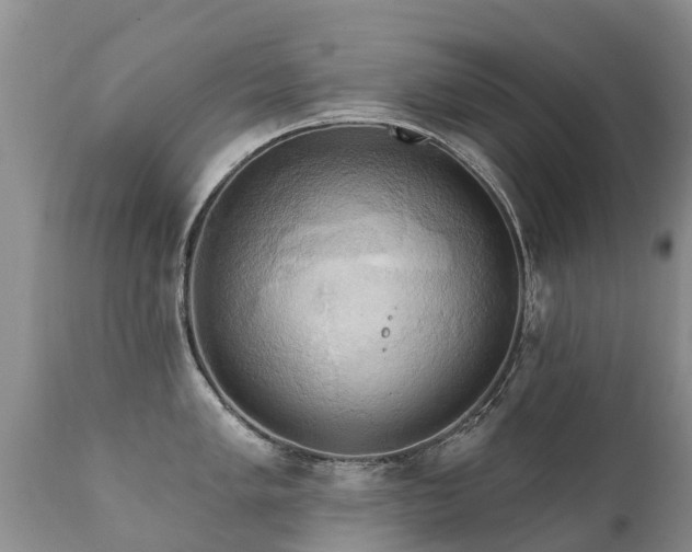 X0000112101005200908111413