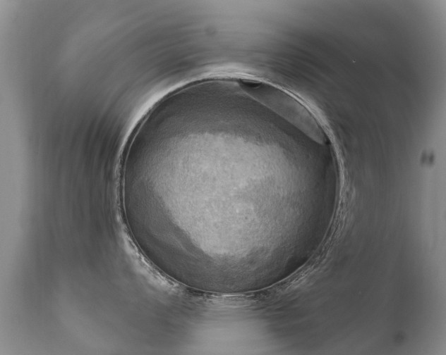X0000112101008200908111413
