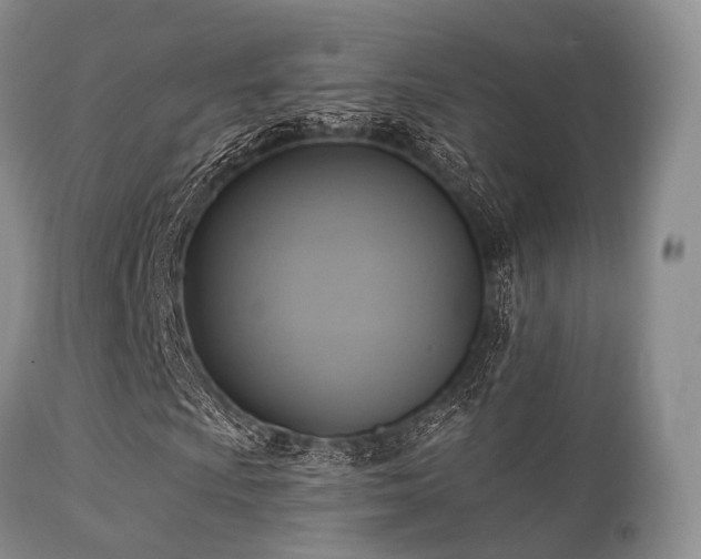X0000112101009200908111412