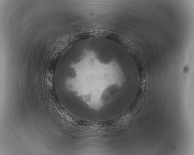 X0000112101010200908111412