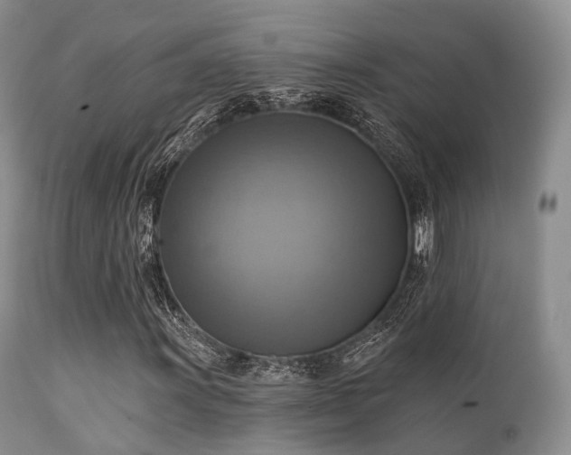 X0000112101011200908111412