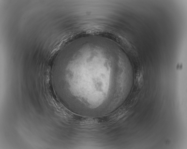 X0000112101012200908111412