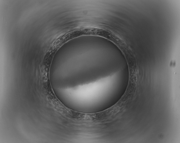 X0000112101013200908111412