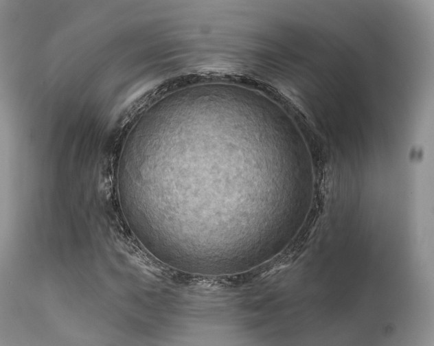 X0000112101015200908111413