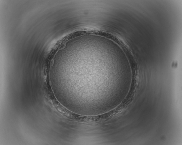 X0000112101016200908111413