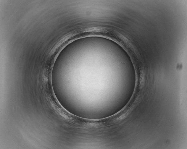 X0000112101017200908111413