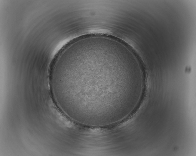 X0000112101022200908111413