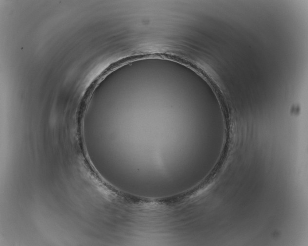 X0000112101023200908111413