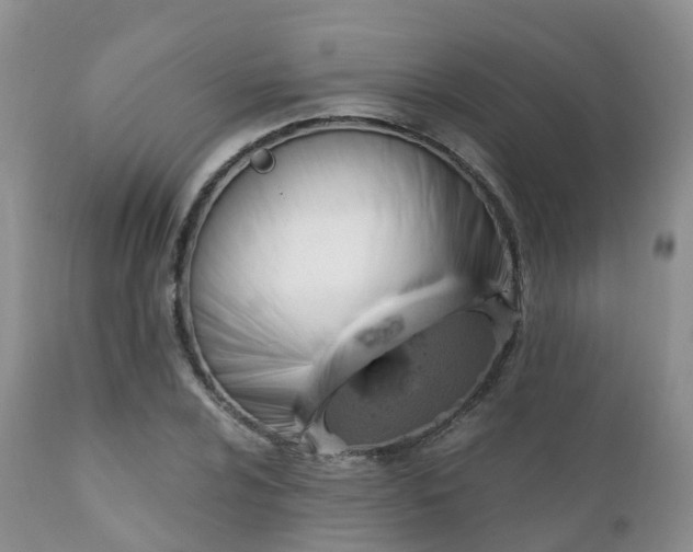 X0000112101024200908111413