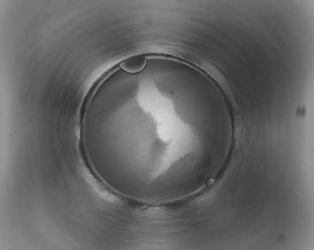 X0000112101028200908111413