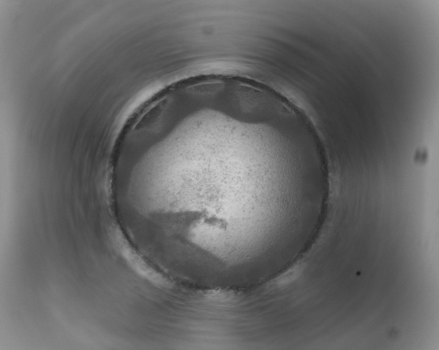 X0000112101029200908111413