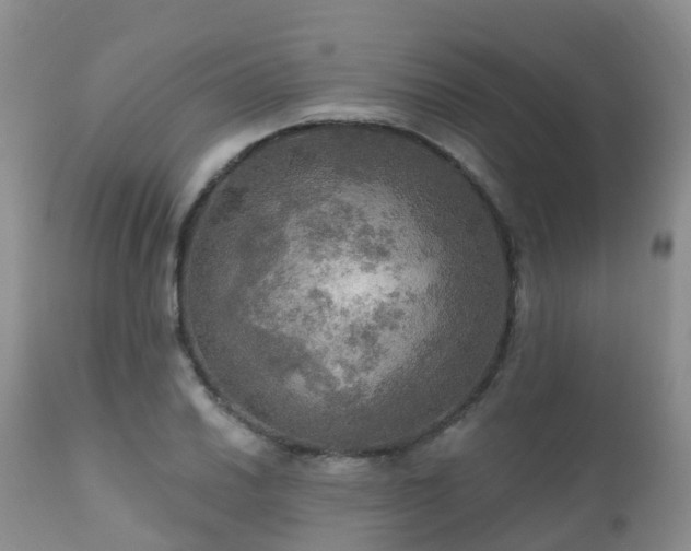 X0000112101030200908111413