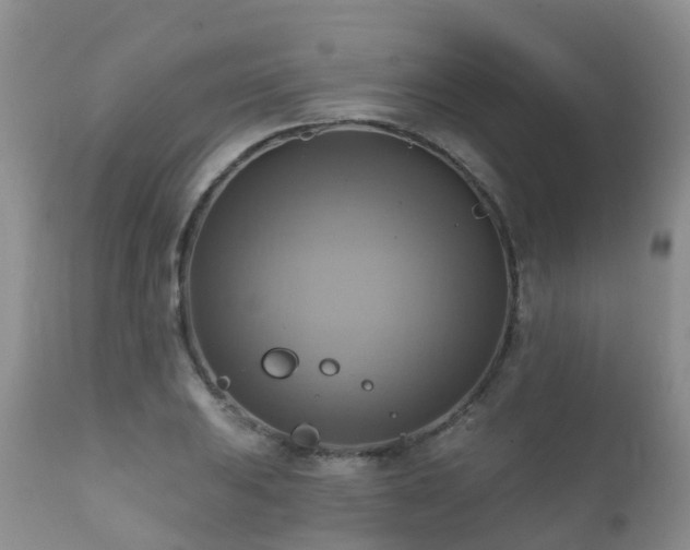 X0000112101031200908111413