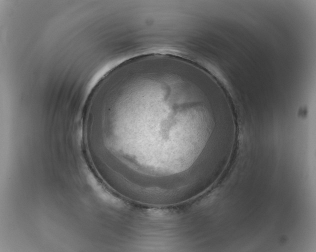 X0000112101032200908111413