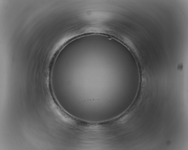X0000112101035200908111413