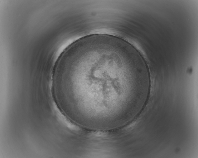 X0000112101040200908111413