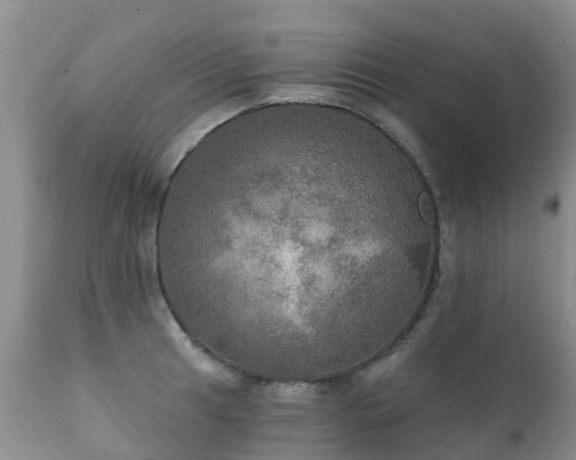 X0000112101041200908111413