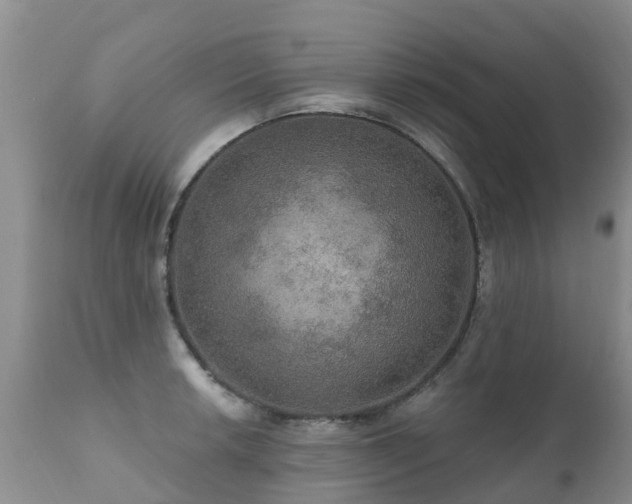 X0000112101042200908111413