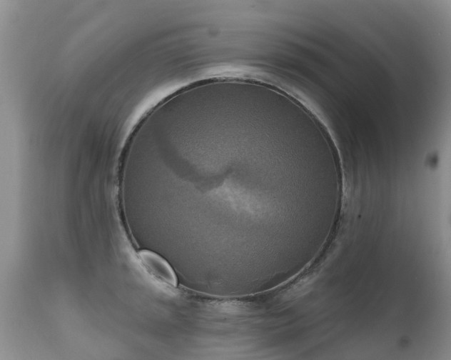 X0000112101045200908111413