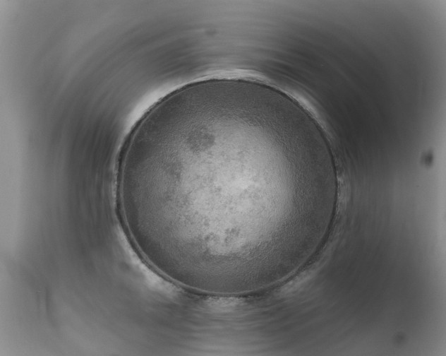 X0000112101046200908111413