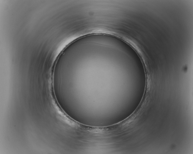 X0000112101048200908111413
