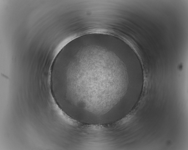 X0000112101050200908111413