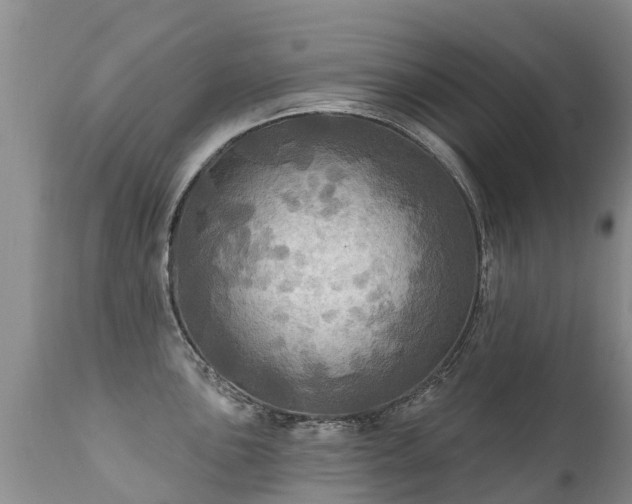 X0000112101051200908111413