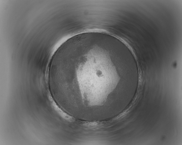 X0000112101054200908111413