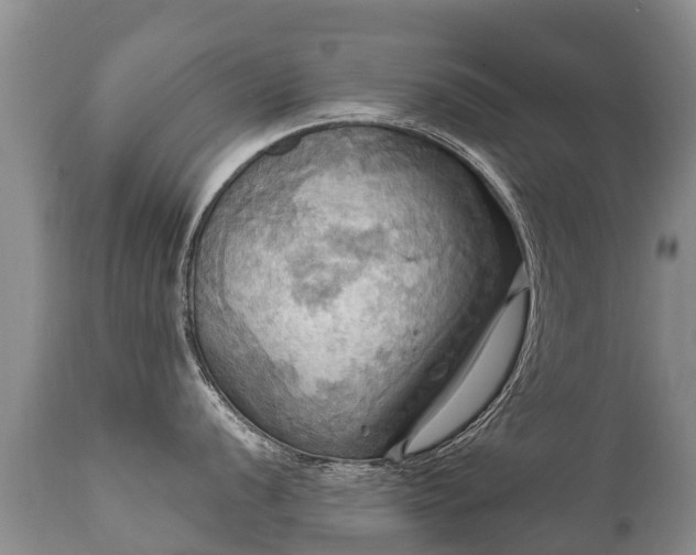 X0000112101056200908111413