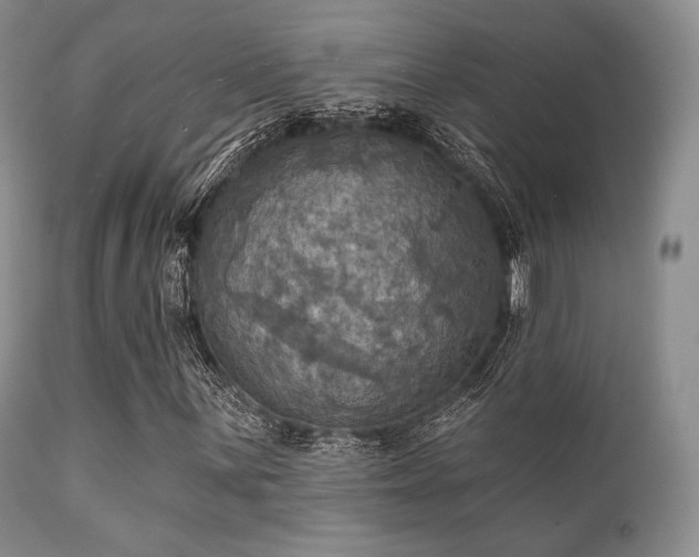 X0000112101059200908111412