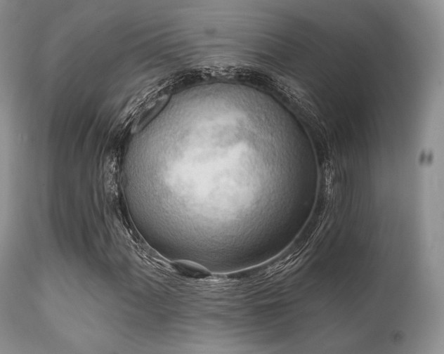 X0000112101060200908111412