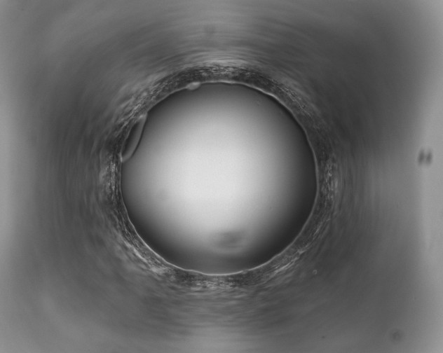 X0000112101061200908111412