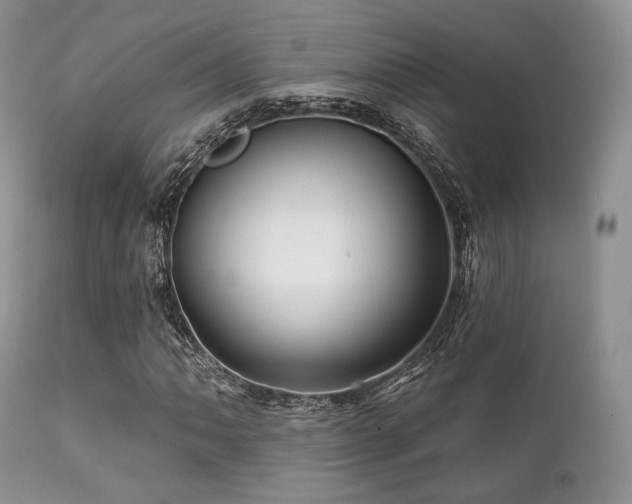 X0000112101062200908111412