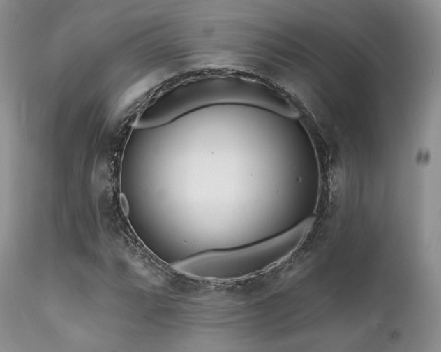 X0000112101064200908111412