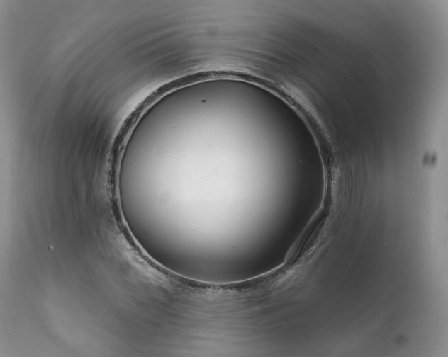 X0000112101068200908111412