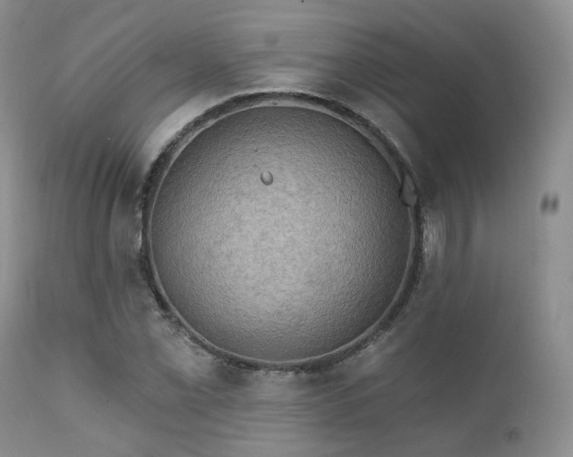 X0000112101069200908111412
